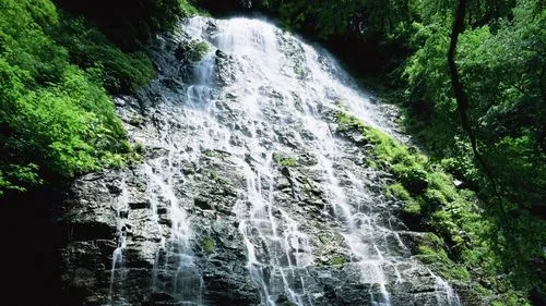 精密绿色